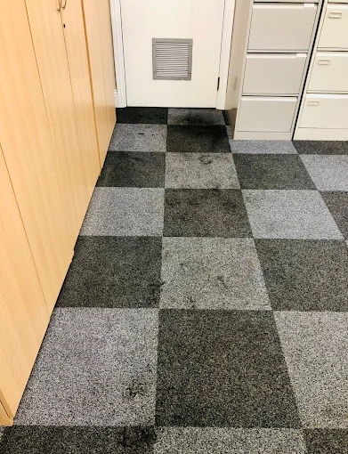 Carpet - Before