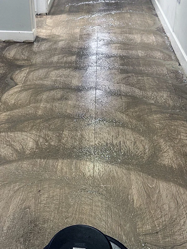 Floorcare Before
