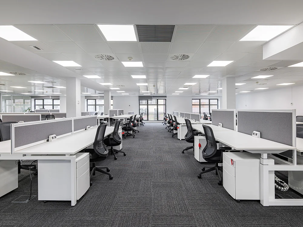Corporate & Workplace Environments